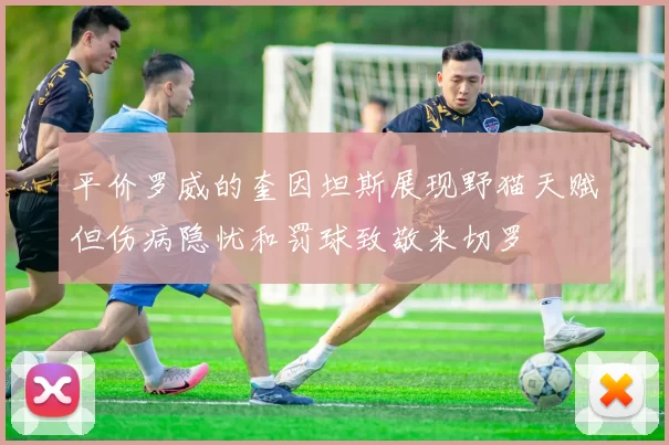 平价罗威的奎因坦斯展现野猫天赋但伤病隐忧和罚球致敬米切罗